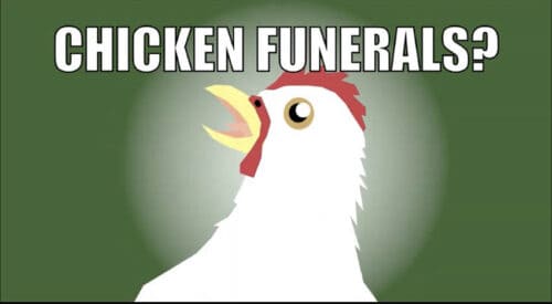 chicken funerals